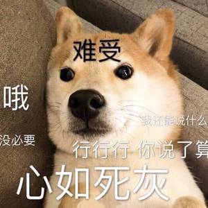 男人日美女逼逼
