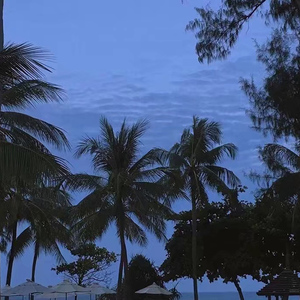 男人日美女逼逼
