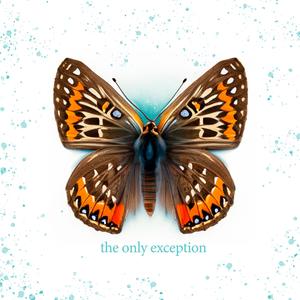 男人日美女逼逼
